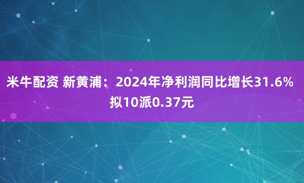 米牛配资 新黄浦：2024年净利润同比增长31.6% 拟10派0.37元