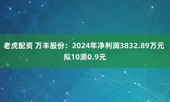 老虎配资 万丰股份：2024年净利润3832.89万元 拟10派0.9元