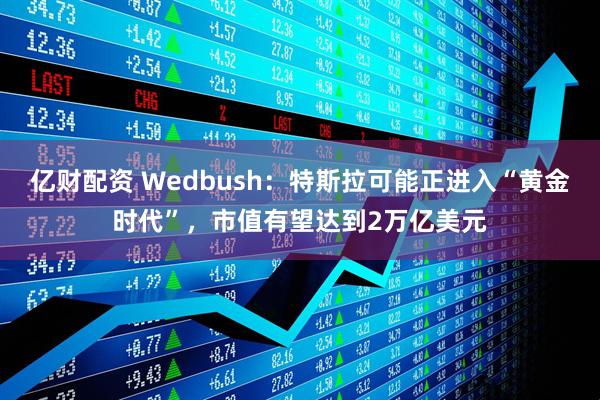 亿财配资 Wedbush：特斯拉可能正进入“黄金时代”，市值有望达到2万亿美元
