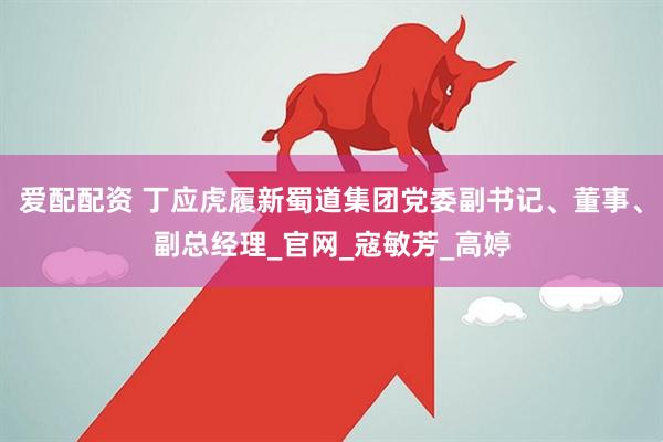爱配配资 丁应虎履新蜀道集团党委副书记、董事、副总经理_官网_寇敏芳_高婷