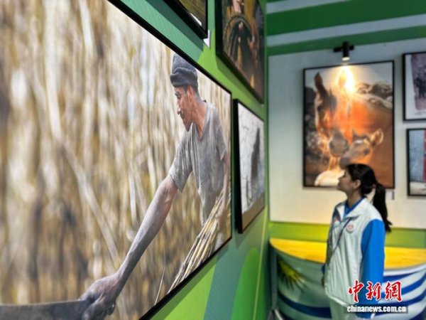 万银配资 第八届敦煌文博会将举办 “敦煌净界”等新地标迎客