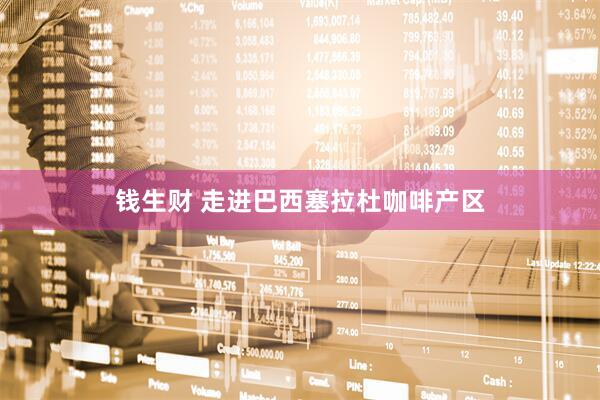 钱生财 走进巴西塞拉杜咖啡产区
